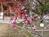 img0052.jpg