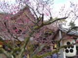 img0055.jpg