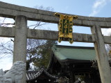 img0072.jpg