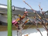 img0000.jpg