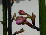 img0002.jpg