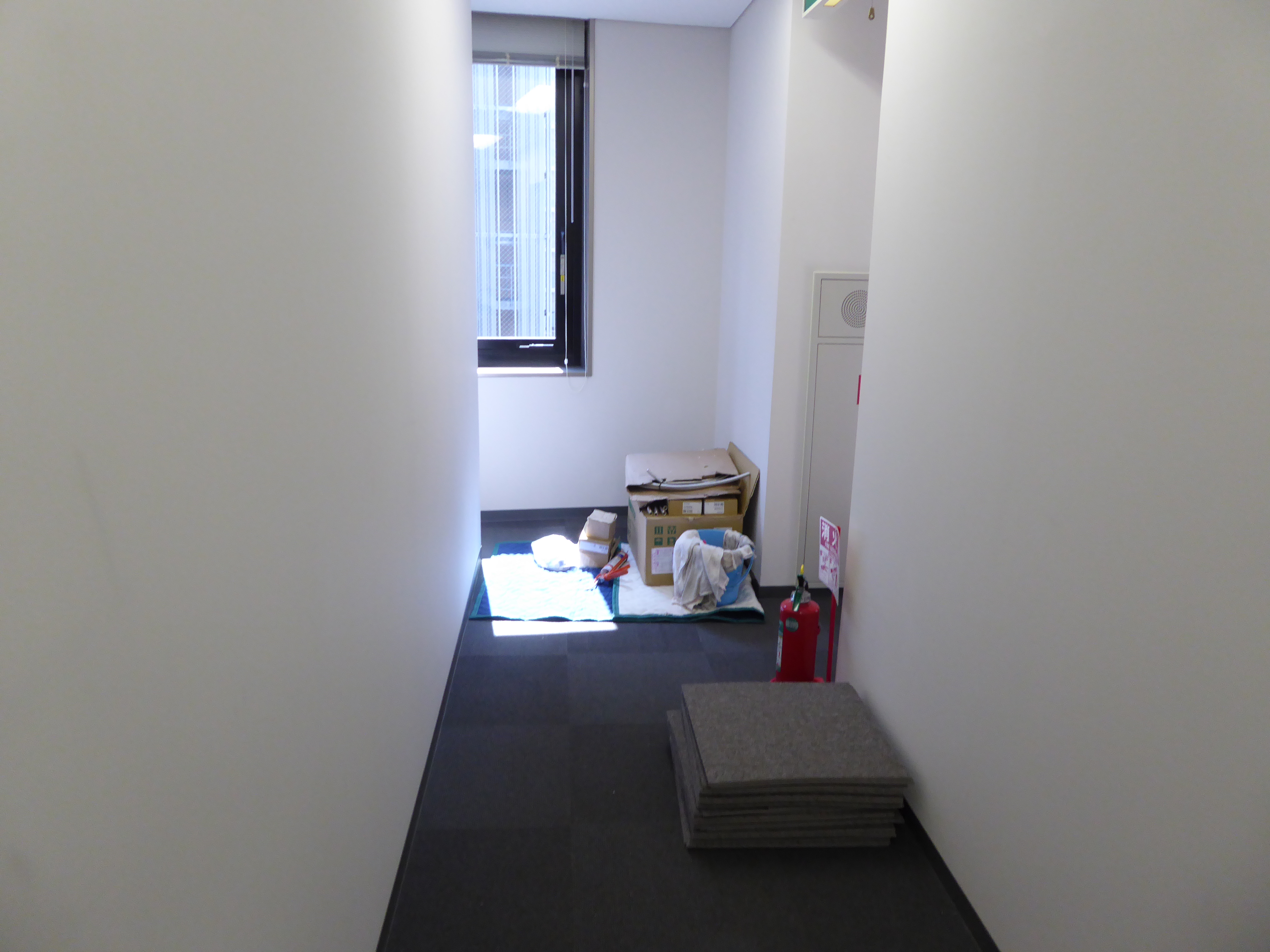 P1020554.JPG