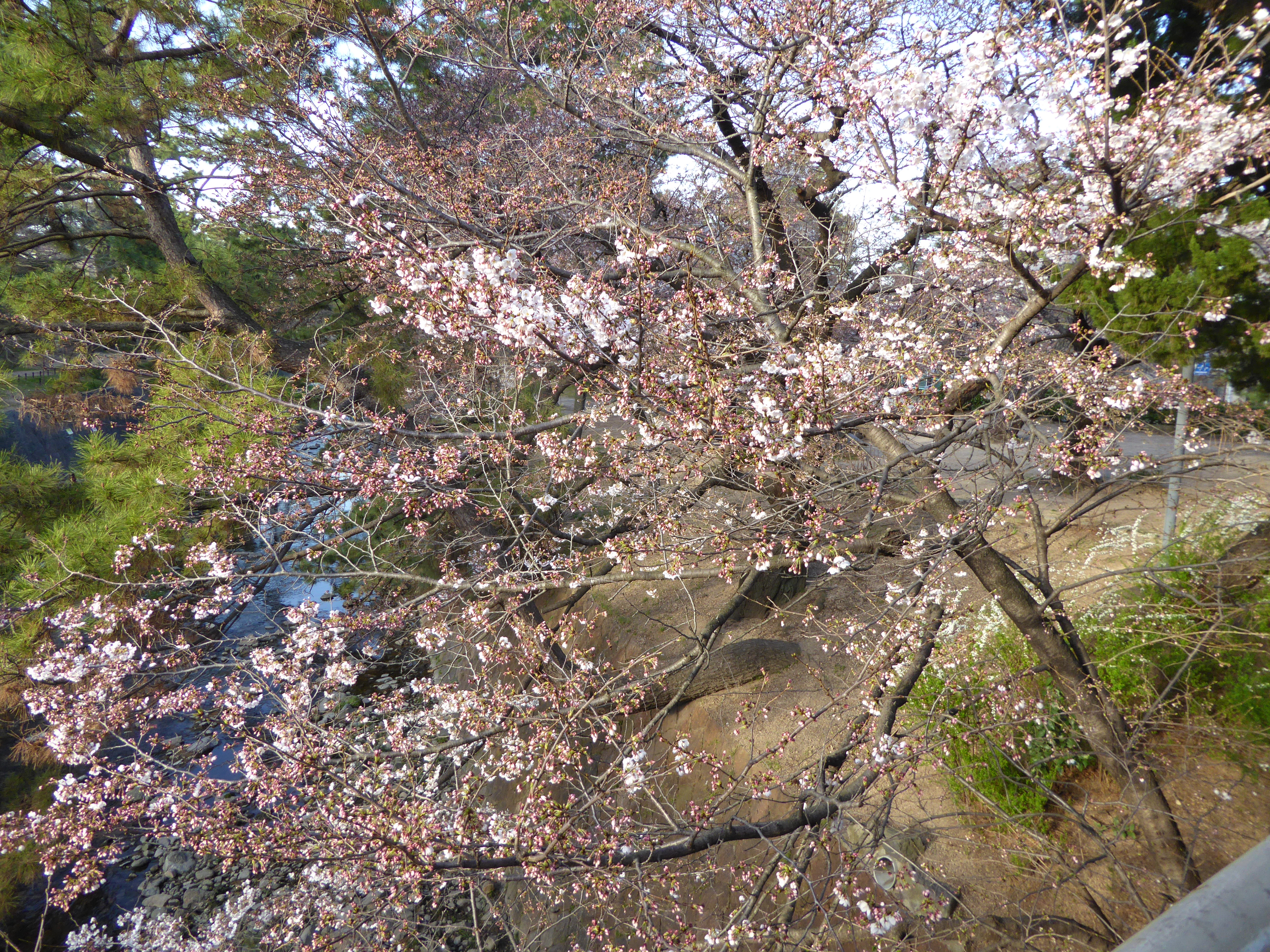 P1020555.JPG
