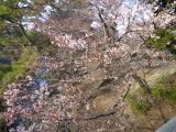 img0000.jpg