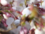 img0003.jpg