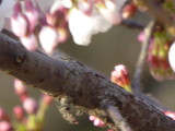 img0004.jpg