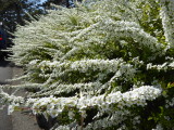 img0000.jpg