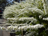 img0001.jpg