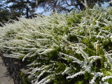 img0005.jpg