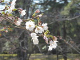 img0006.jpg