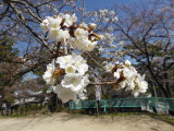 img0008.jpg