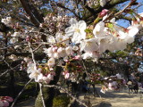 img0012.jpg