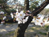 img0015.jpg