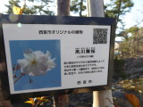 img0016.jpg