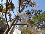img0020.jpg