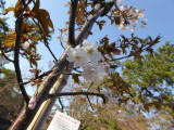 img0021.jpg