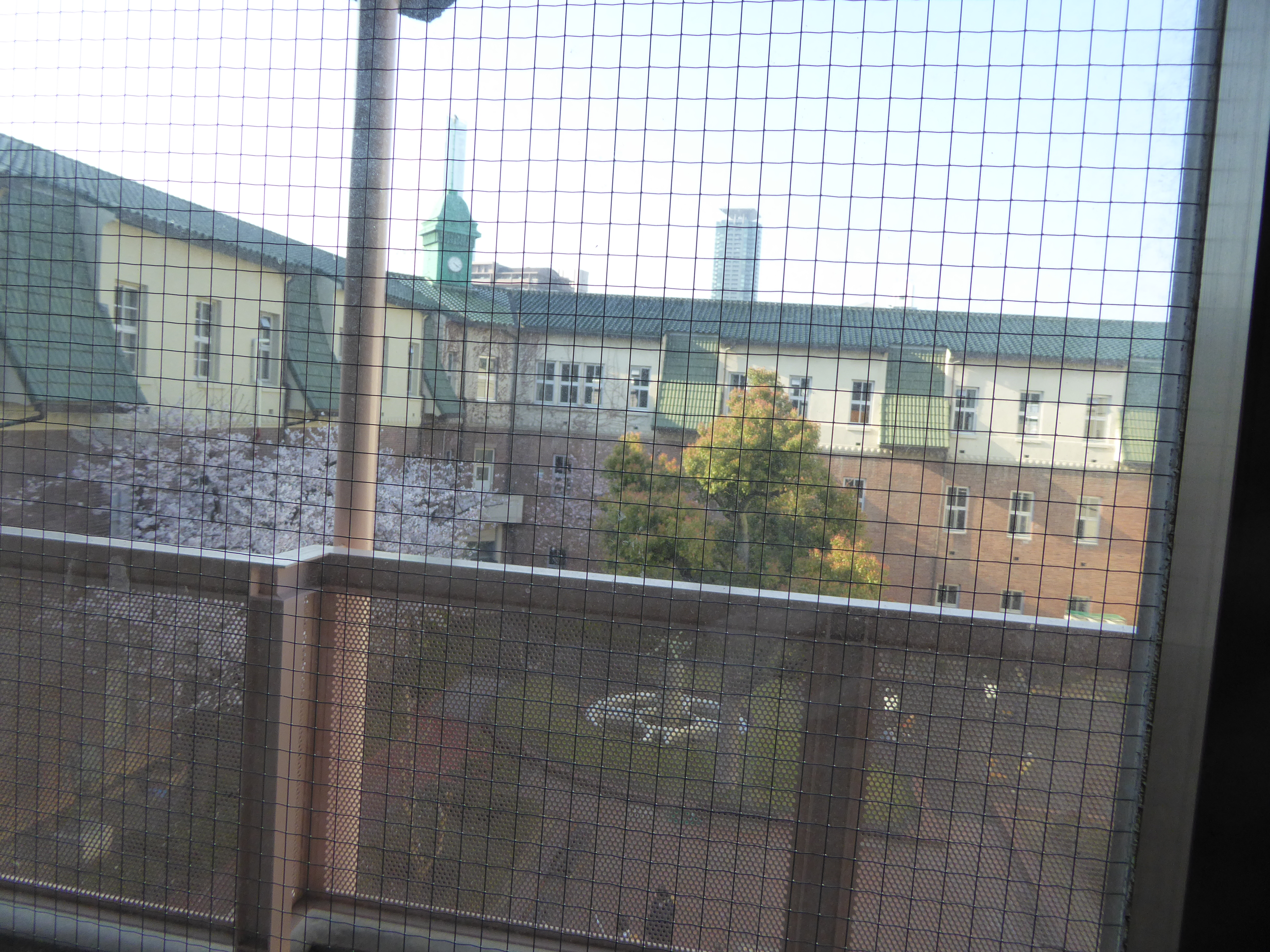 P1020631.JPG