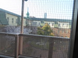 img0037.jpg