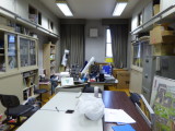 img0038.jpg