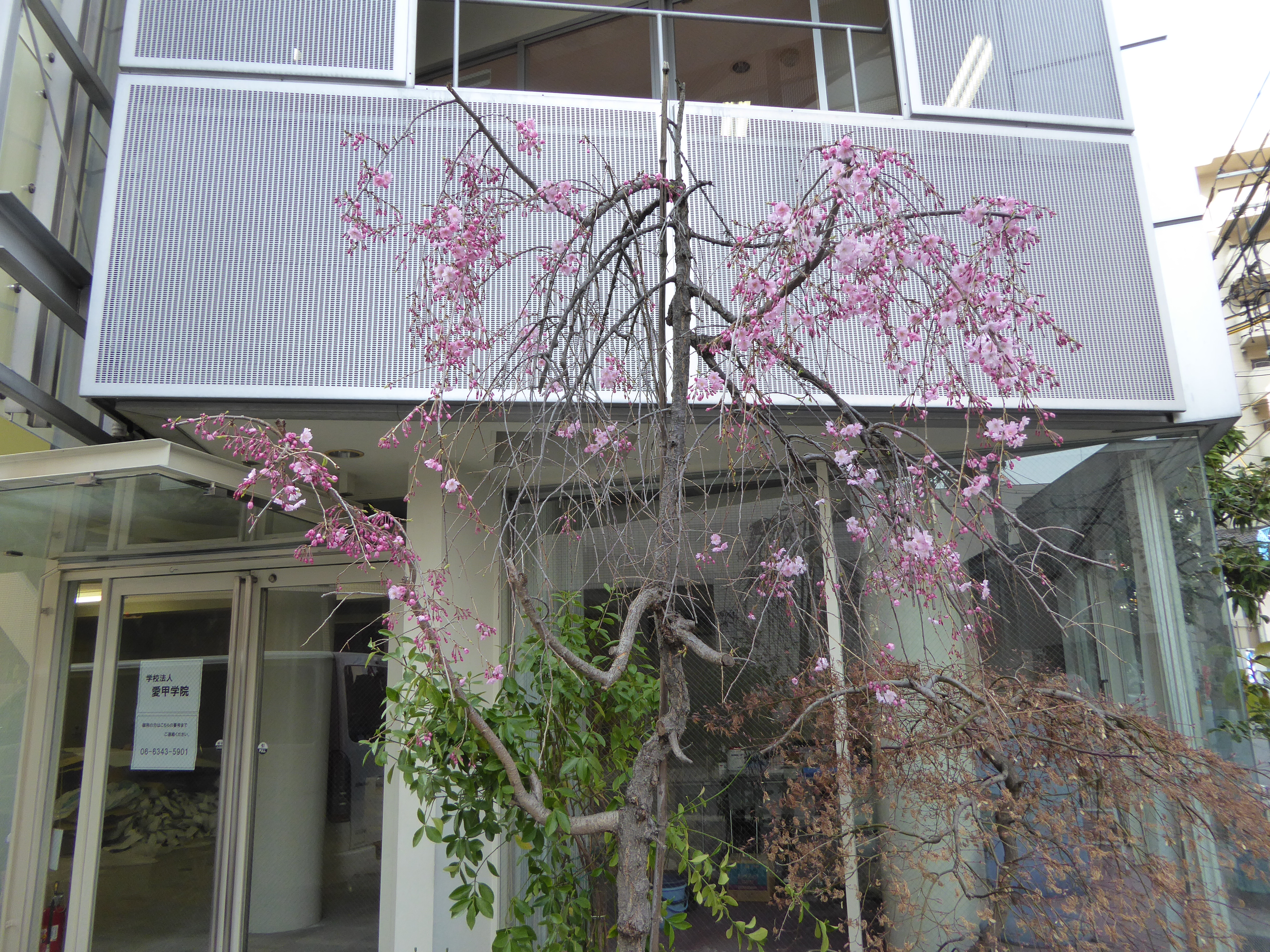 P1020654.JPG
