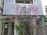 img0002.jpg