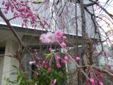 img0003.jpg