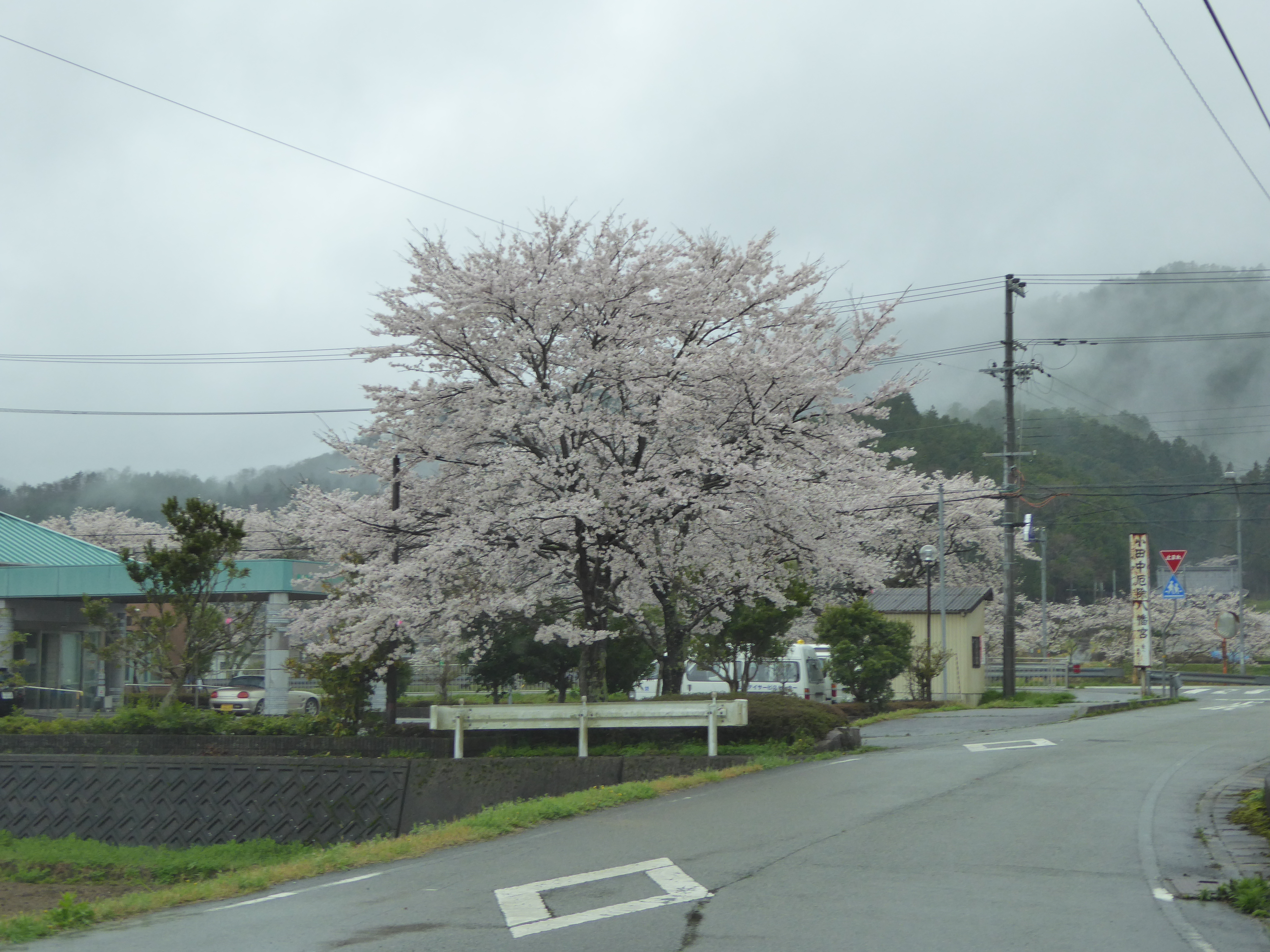 P1020795.JPG