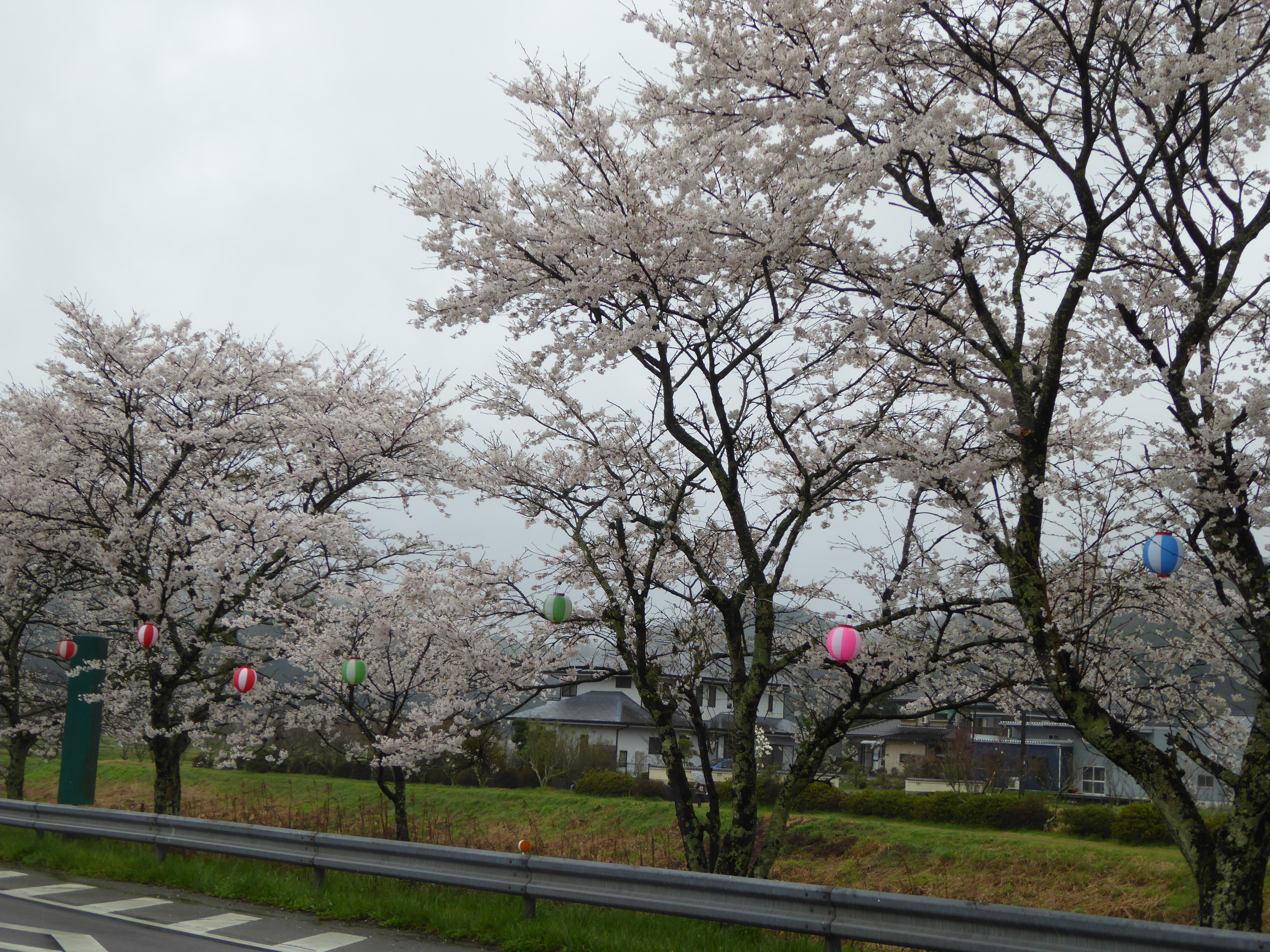 P1020797.JPG