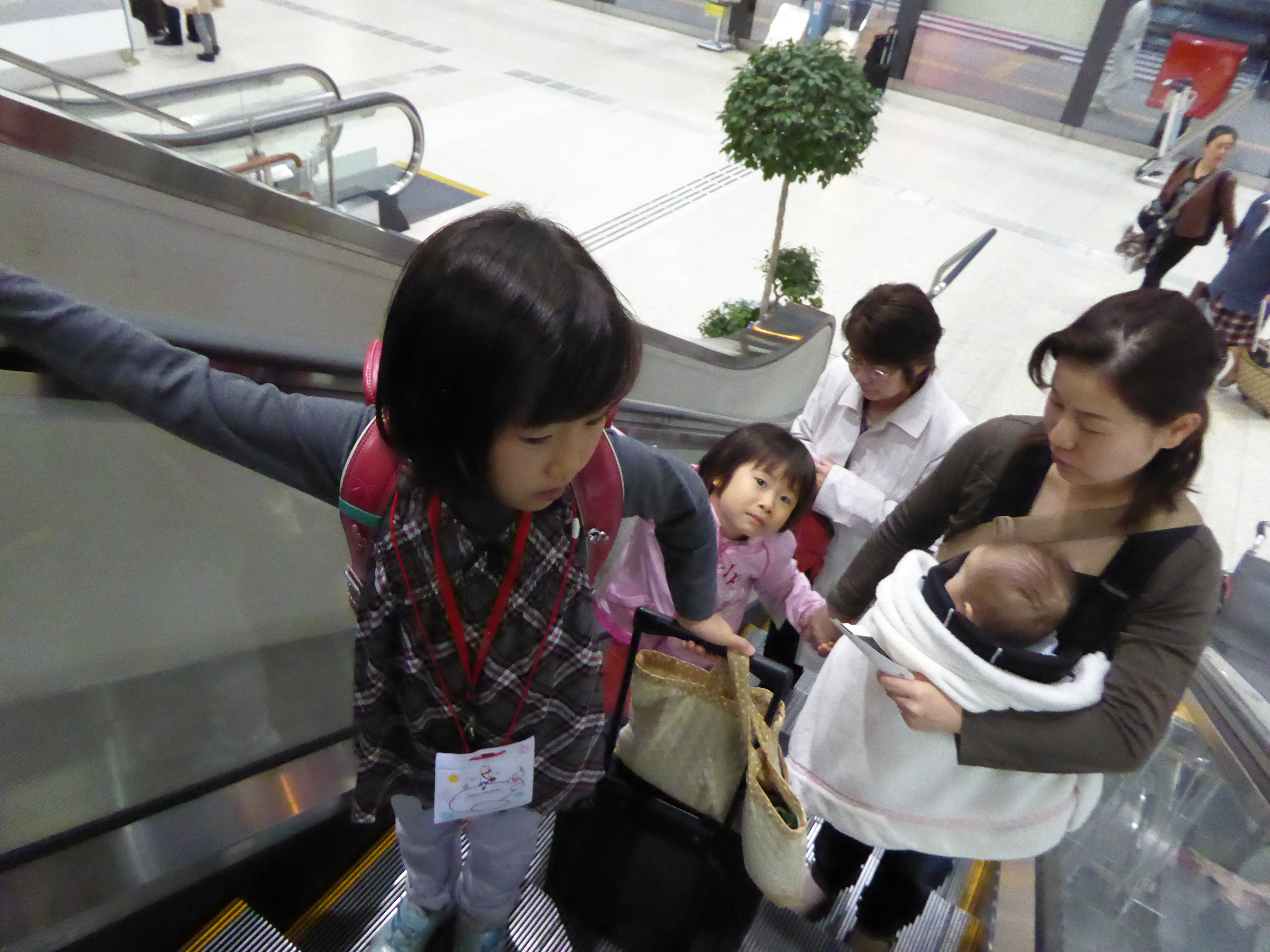 P1020803.JPG