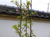 img0000.jpg