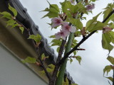 img0001.jpg