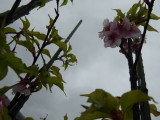 img0004.jpg
