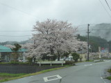img0010.jpg