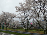 img0011.jpg
