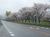 img0013.jpg