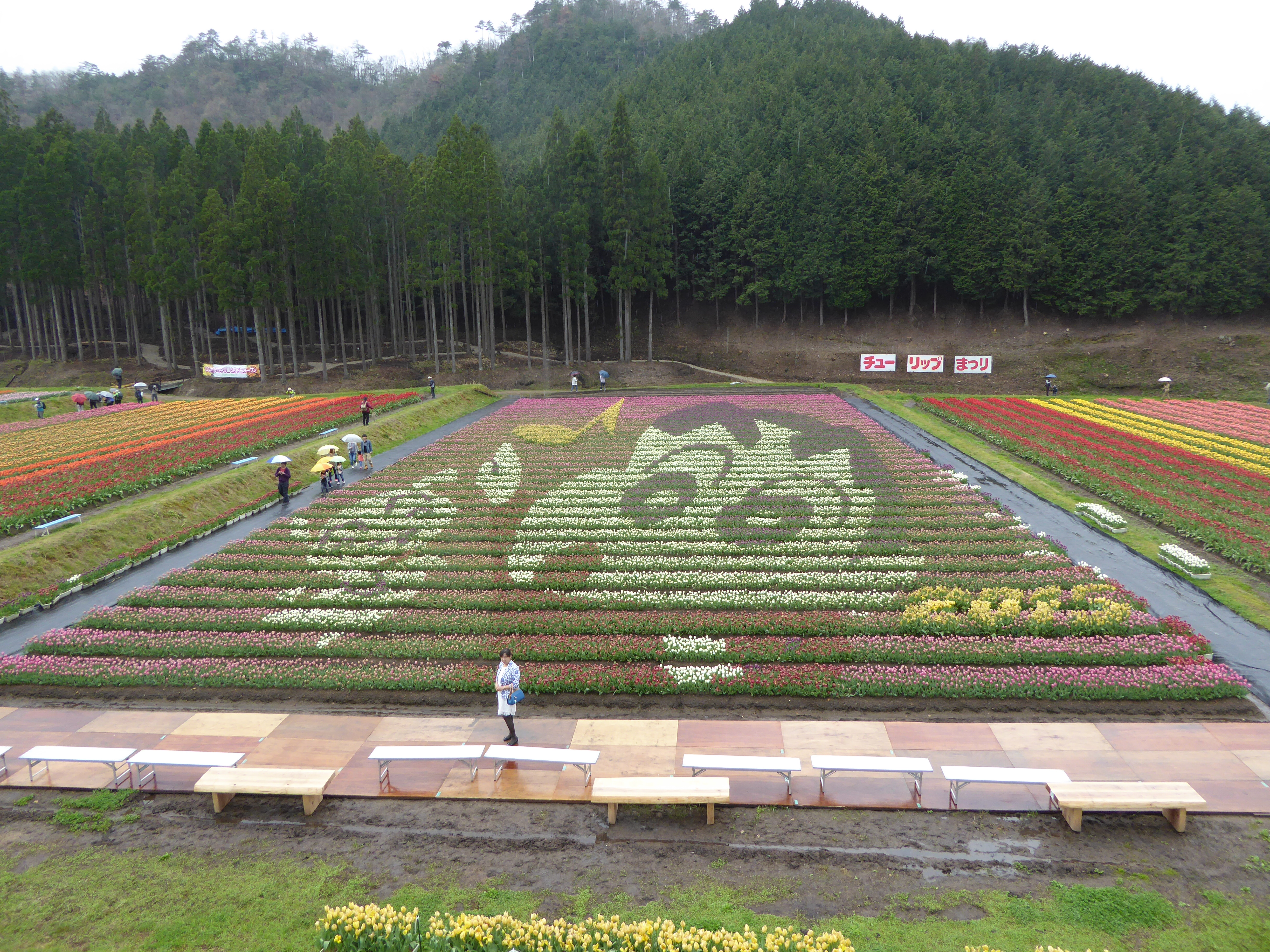 P1020837.JPG