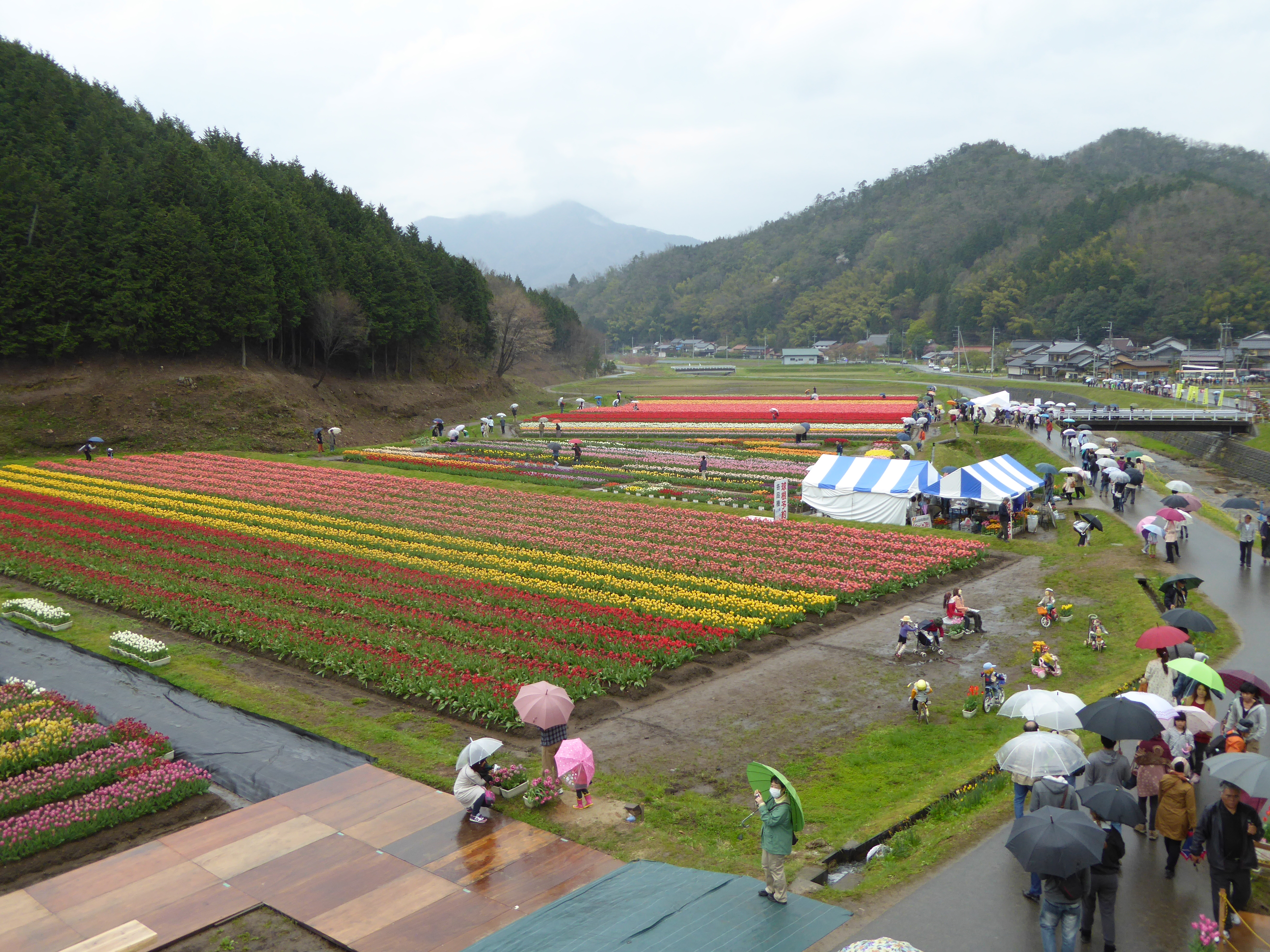 P1020838.JPG
