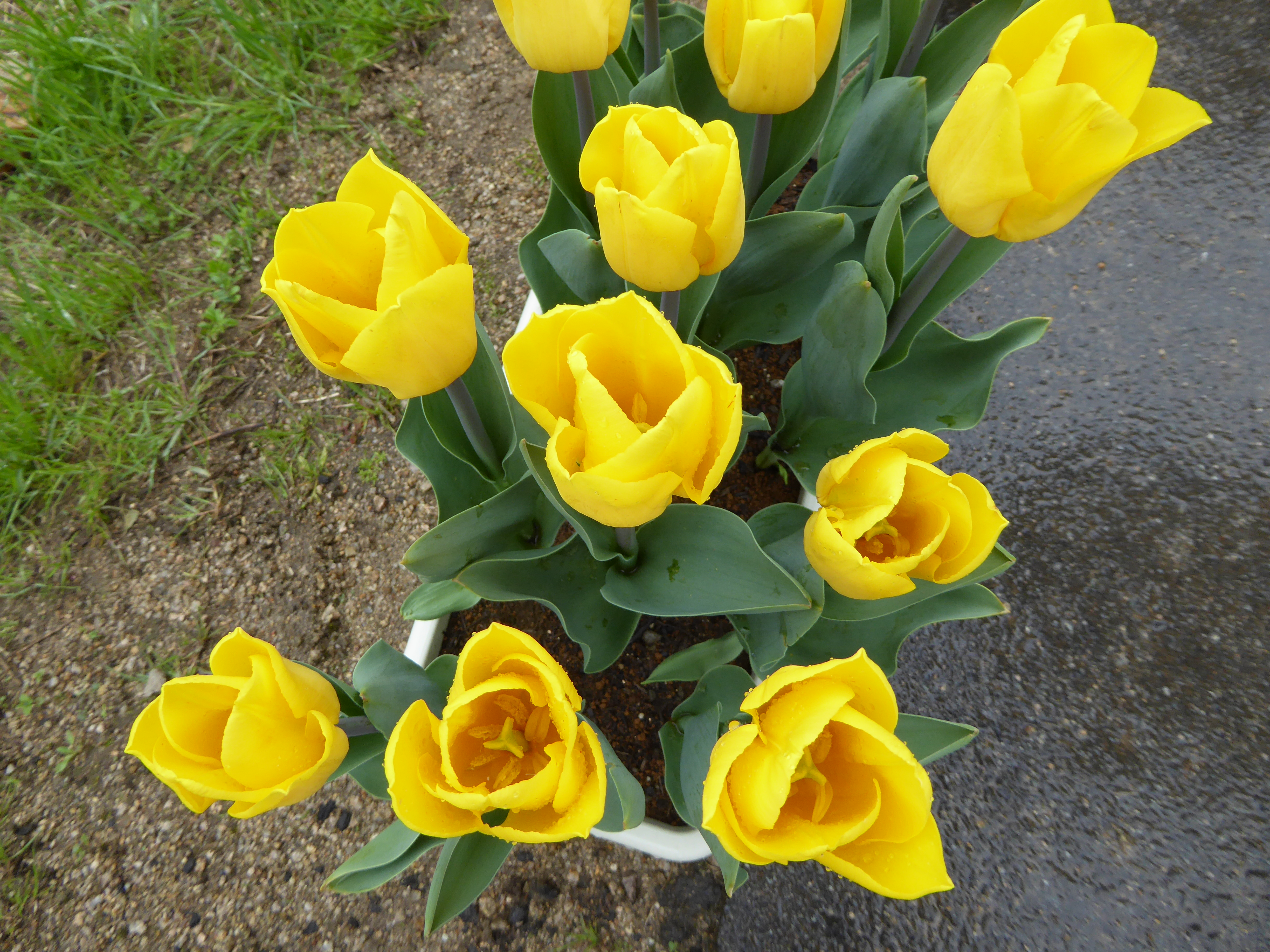 P1020846.JPG