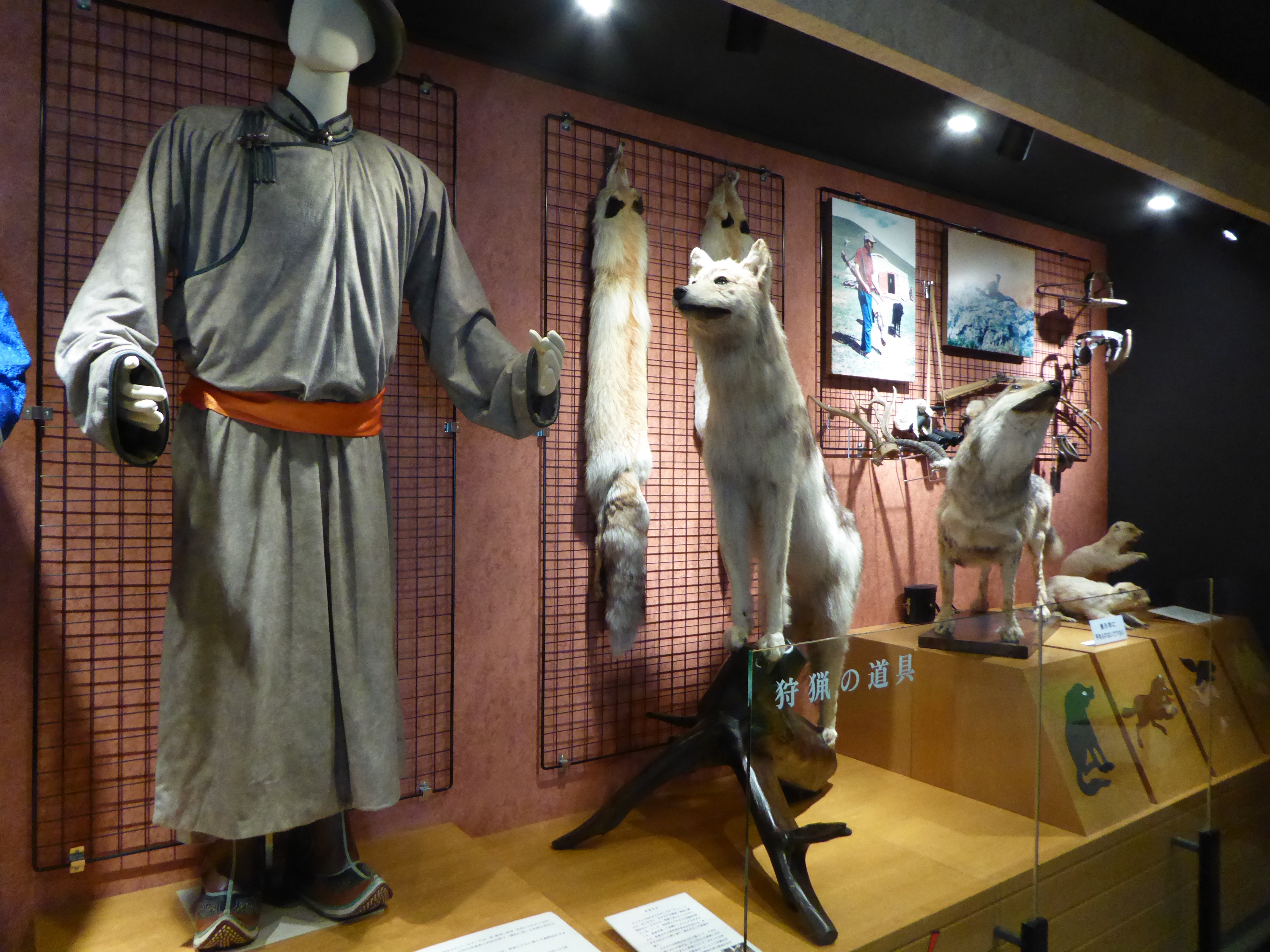 P1020853.JPG