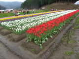 img0001.jpg