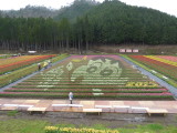 img0004.jpg