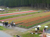 img0006.jpg