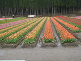 img0011.jpg