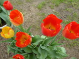 img0014.jpg