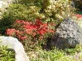 img0002.jpg
