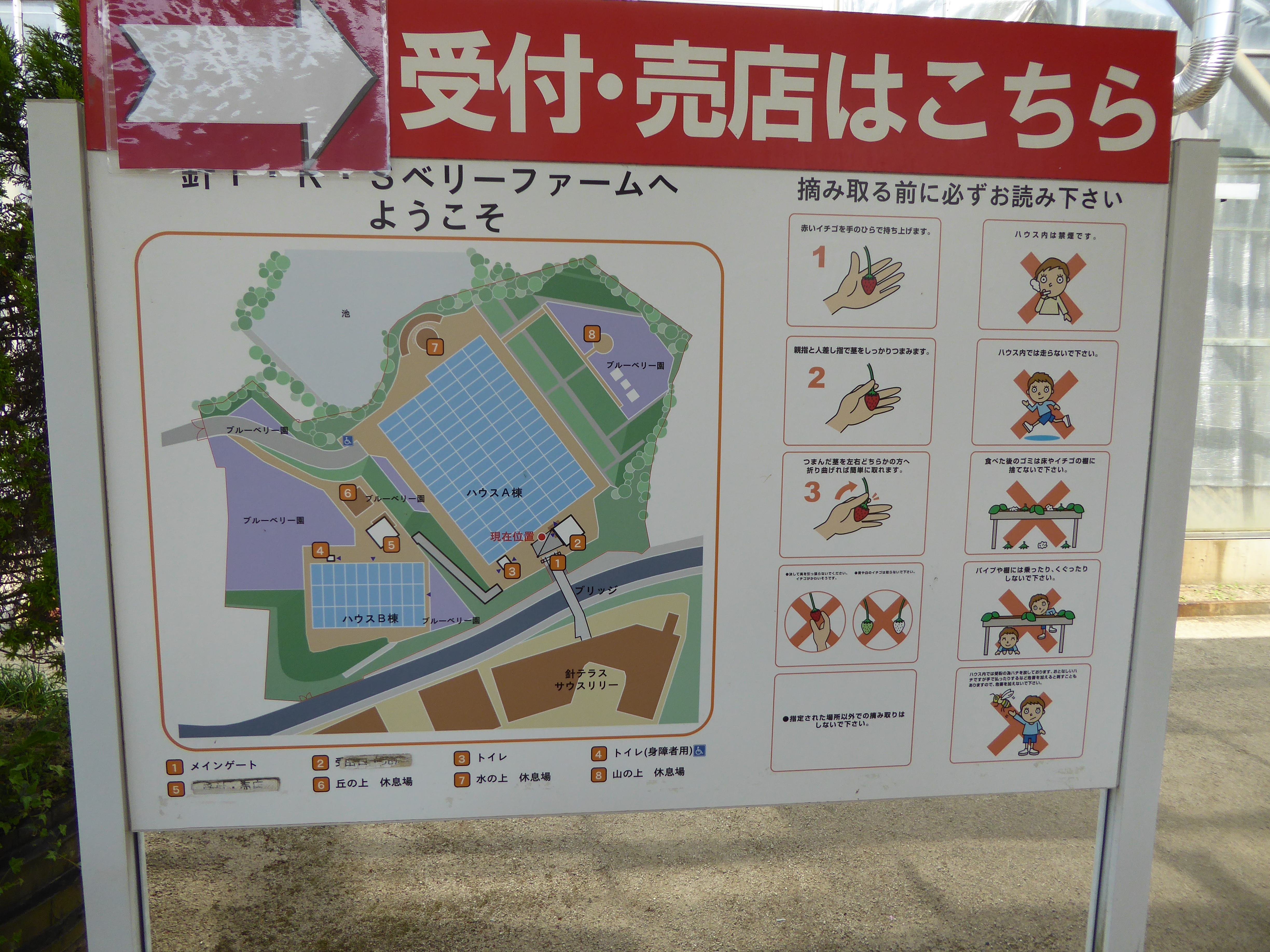 P1020909.JPG