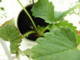img0003.jpg