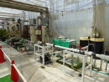 img0008.jpg