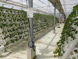 img0011.jpg