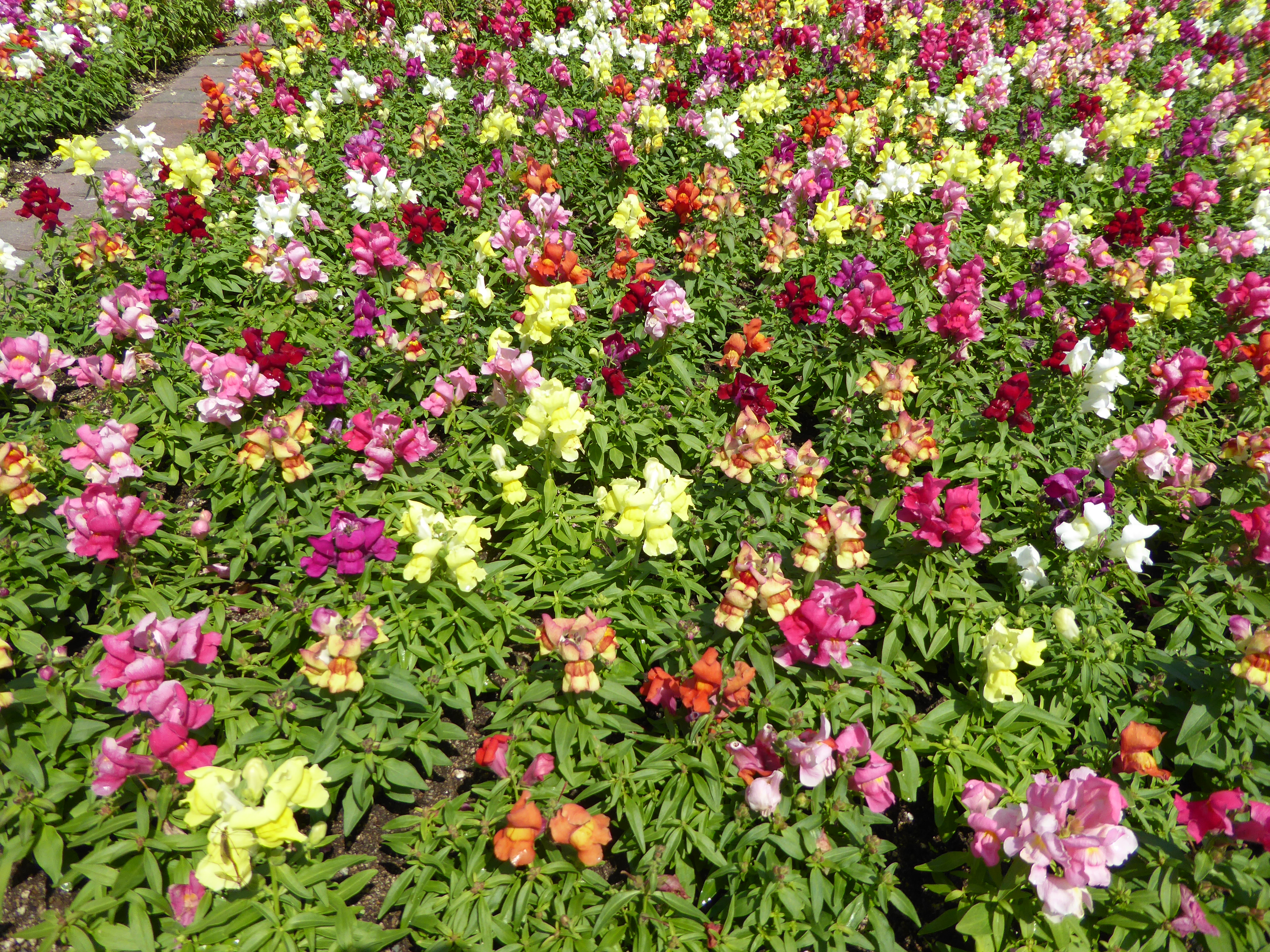 P1020910.JPG